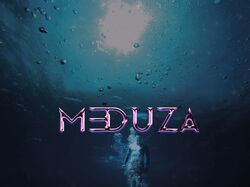 Логотип для плавальної секції MEDUZA
