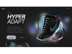 Hyper Adapt