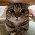 Sasha_Grinevich