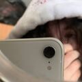 iseedeadpeople