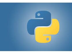 Python Django 5.0 / Телеграм боты