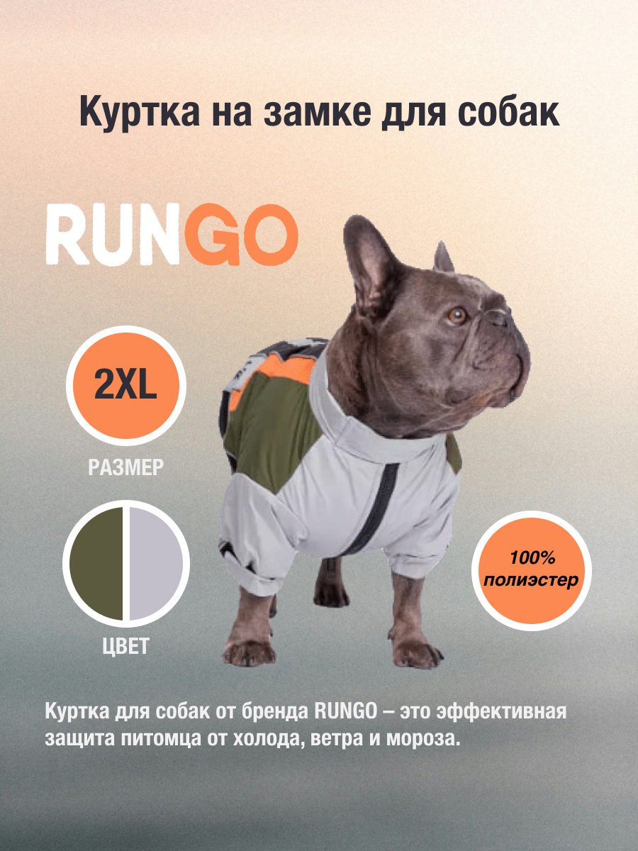 главная.jpg