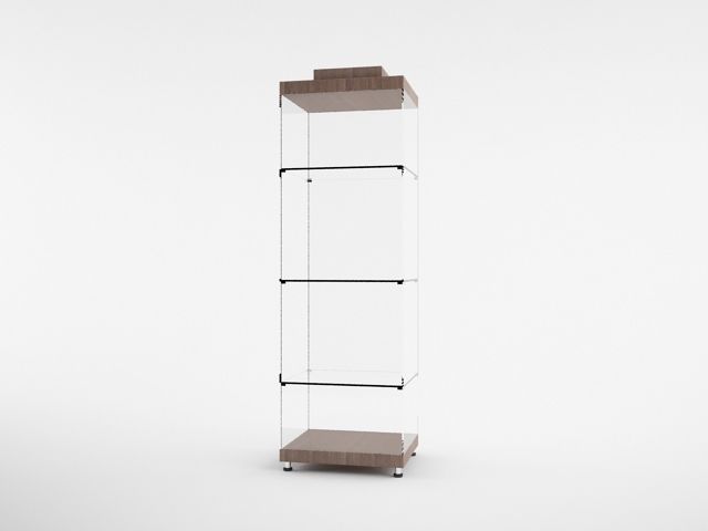 Стеклянный шкаф.jpg