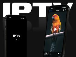 IPTV