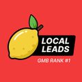 local_leads_ads