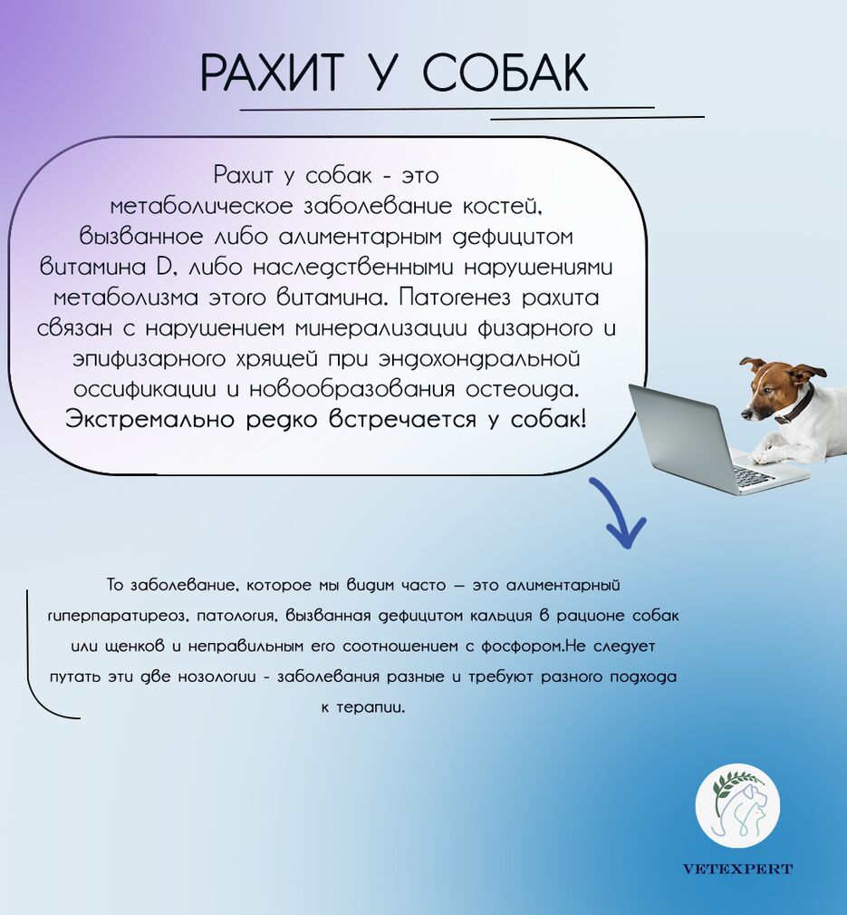 рах1.png