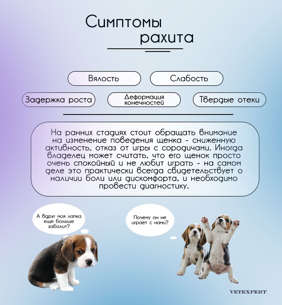 рах4.png