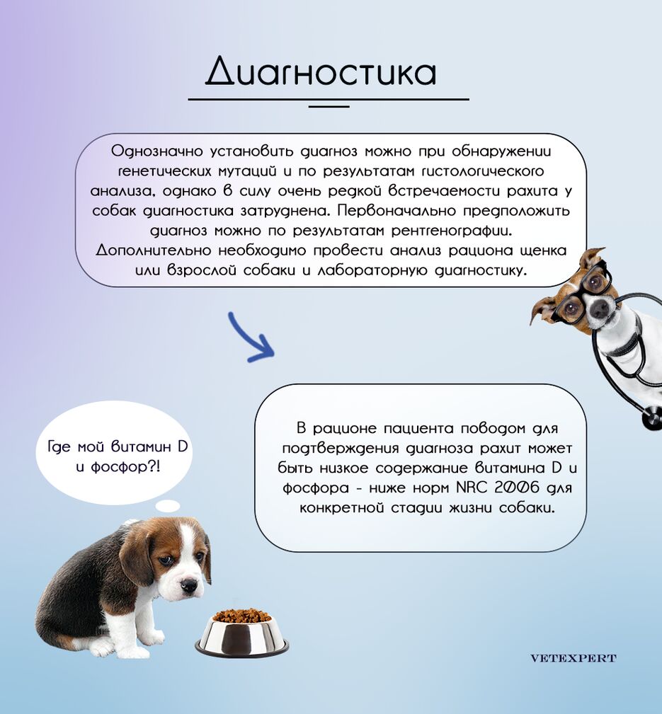 рах7.png