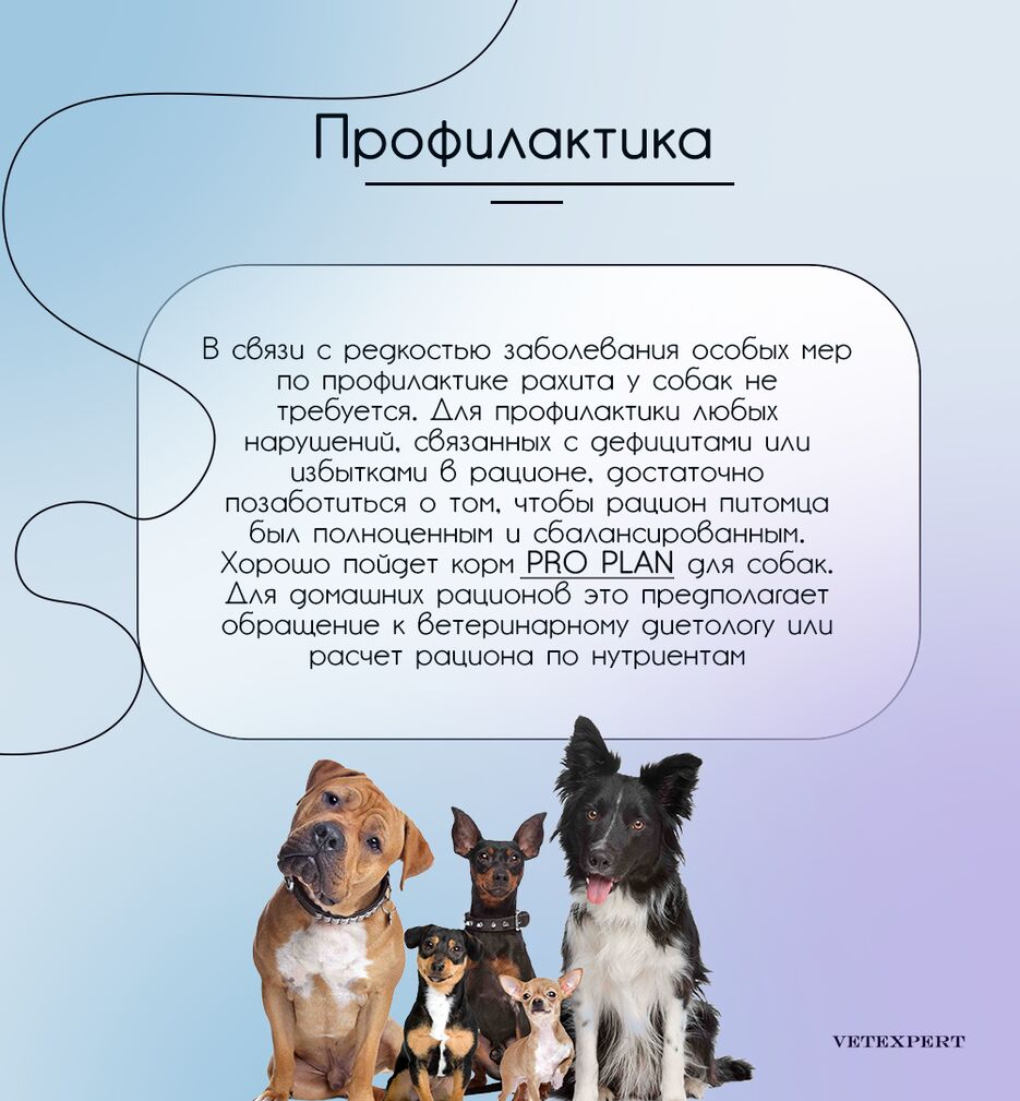 рах9.png
