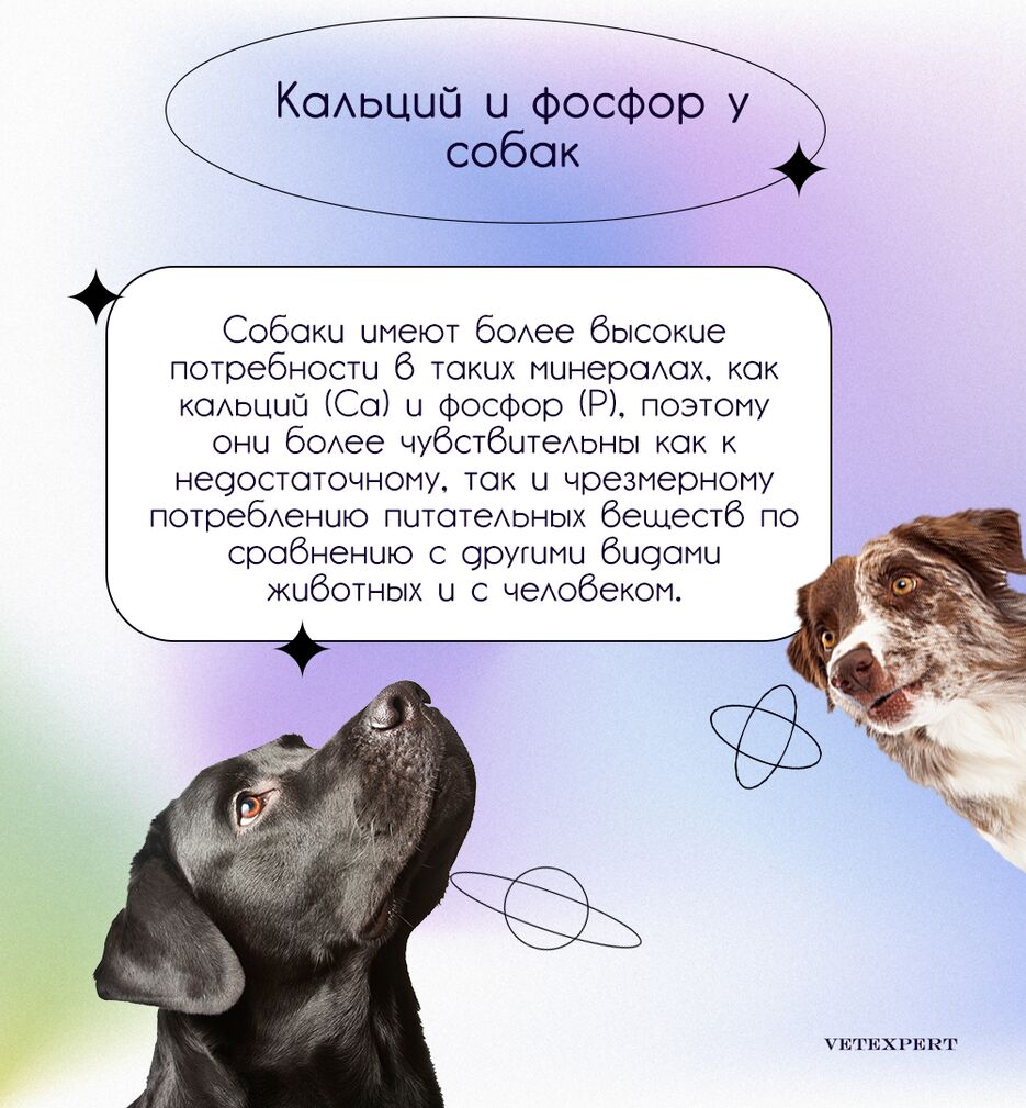 фос3.png