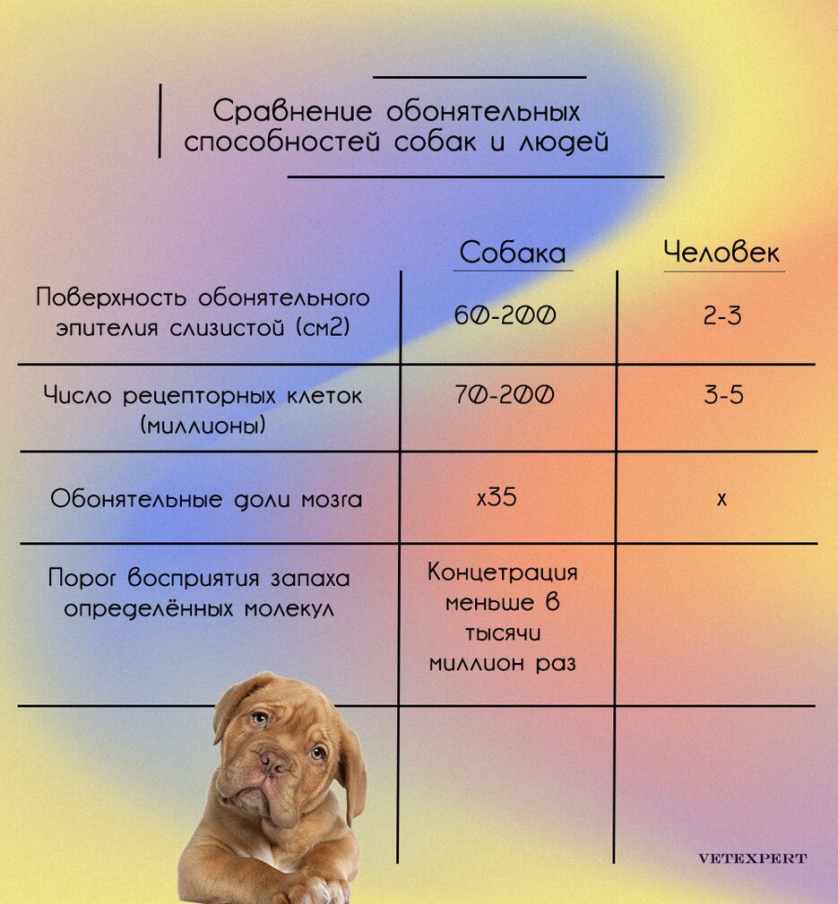 таб2.png