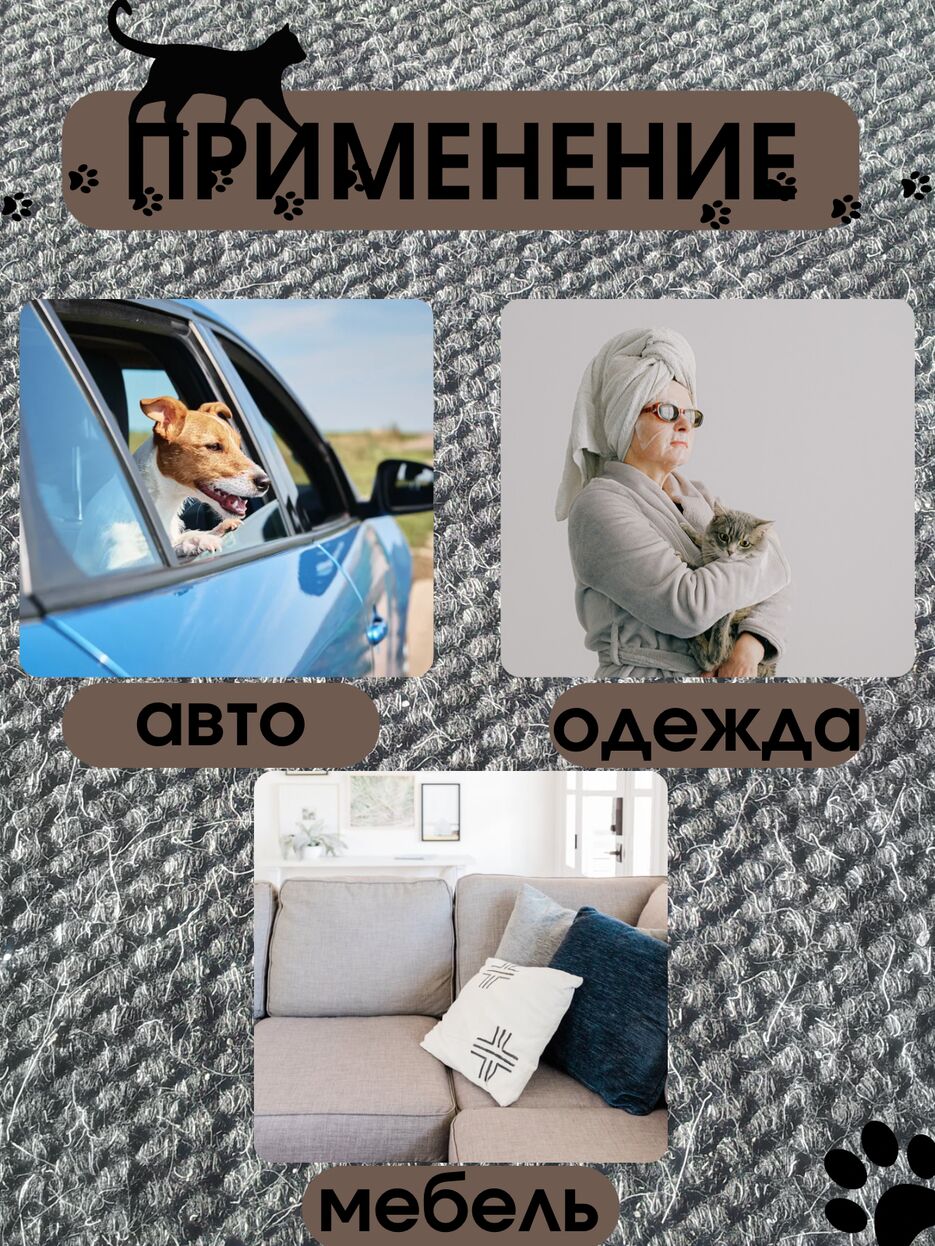 IMG_9543.png