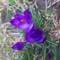 Nazar230410