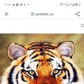 Andrei5374