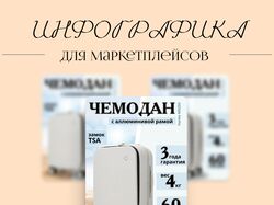 Инфографика Чемодан