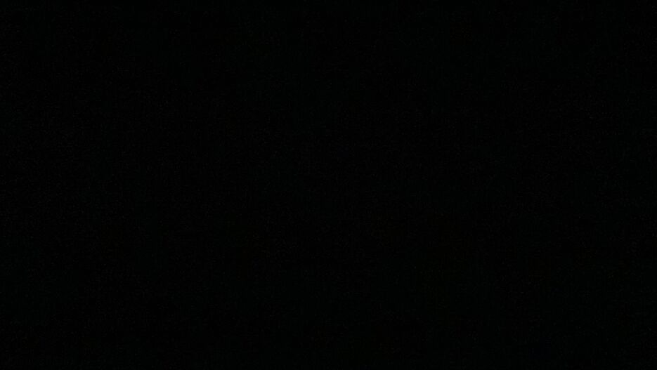 IMG_2594.jpeg