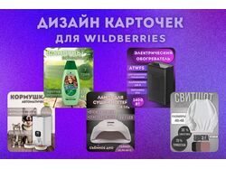 Инфографика