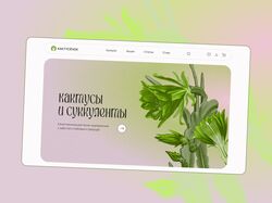 Дизайн интернет-магазина