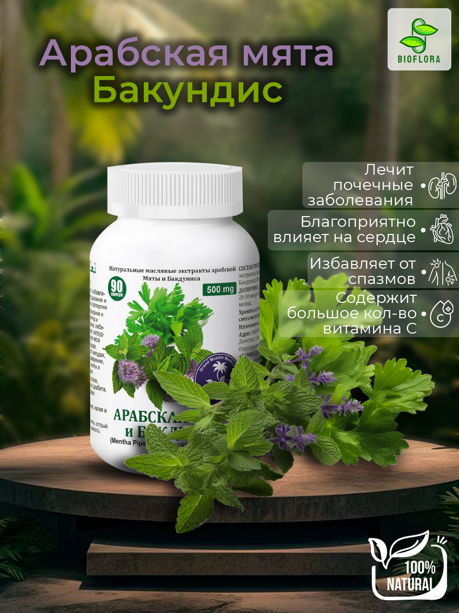 Арабская Мята и Бакундис.jpg