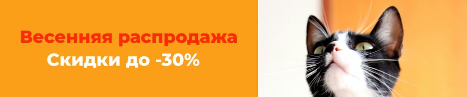 pet shop banner cat Russian.png