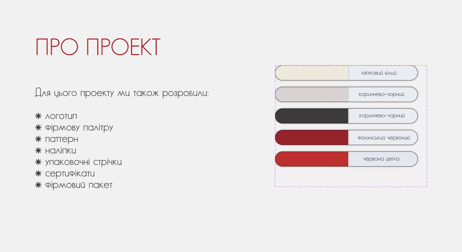 про проект.png