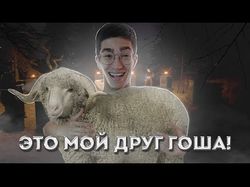 Монтаж смешного контента