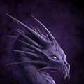 _LIL_DRAGON_