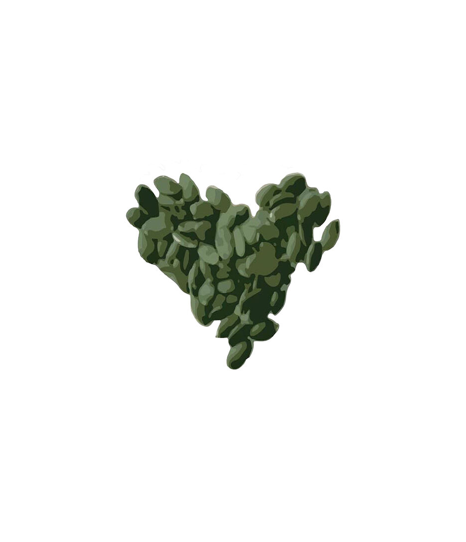 pumpkin seed print copy.jpg