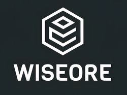 Wiseore Logo