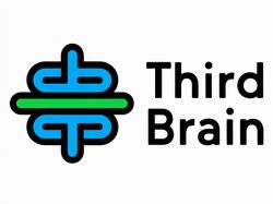 Third Brain Logo
