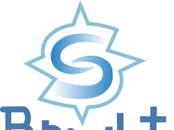 логотип для компании BrightStar technology