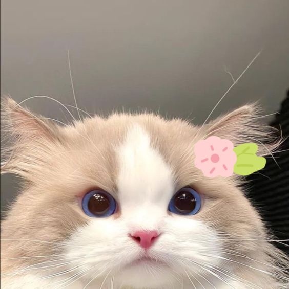 GTlgOu4kJbA.jpg