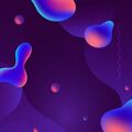 Javid_25462