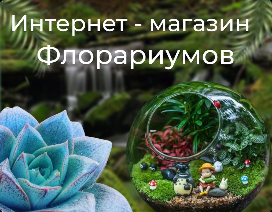 обложка.png