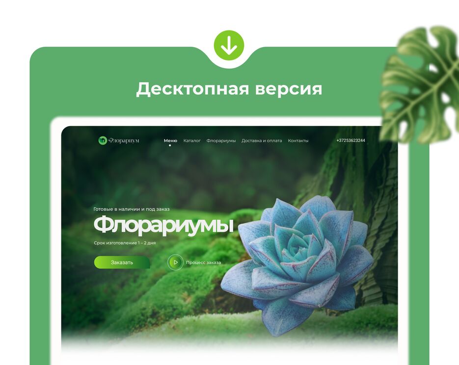 э5.png