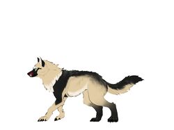 Animation in Spine