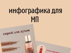 Инфографика для МП 