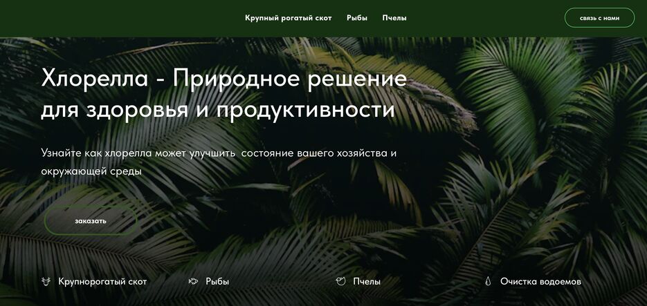 Снимок экрана 2024-06-09 в 12.25.35.png