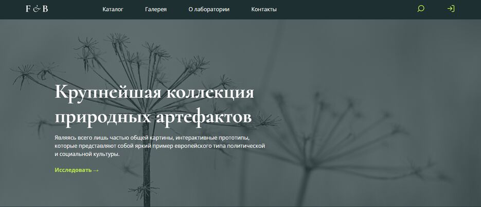 FB_header.PNG