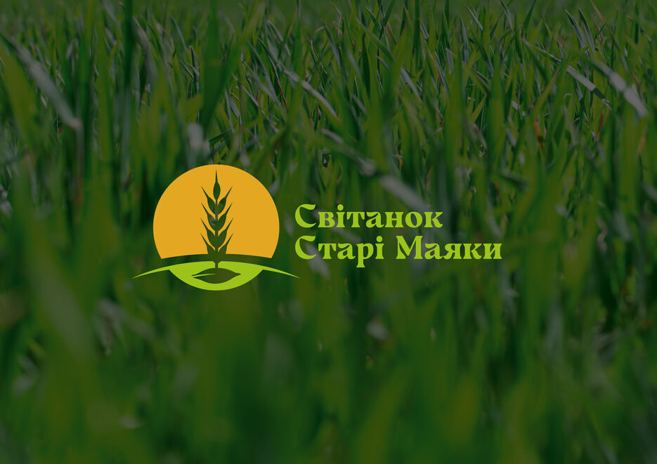 brandbook_Світанок Старі Маяки_Монтажная область 1.jpg