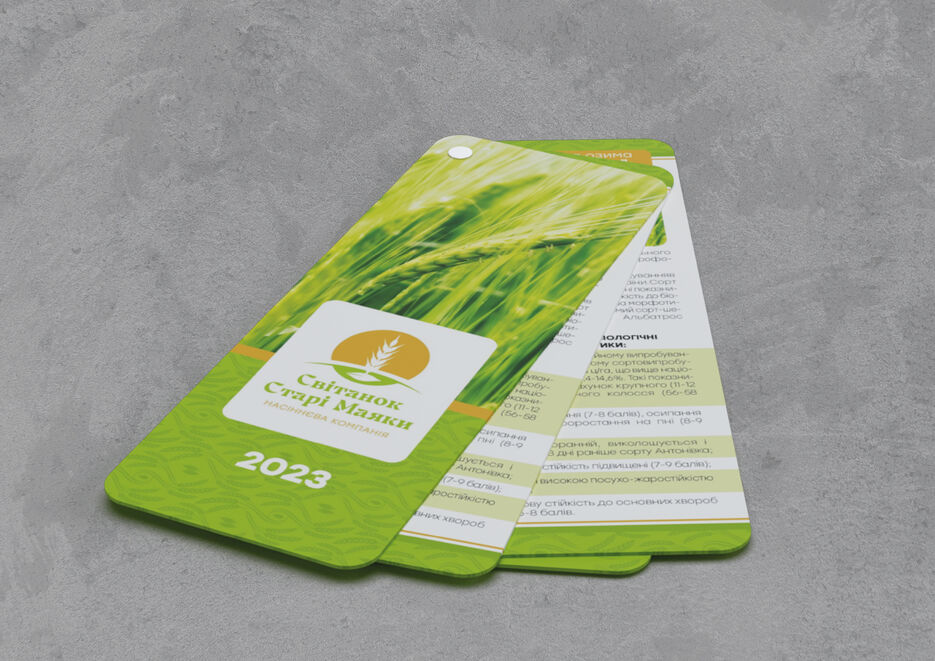 brandbook_Світанок Старі Маяки-10.jpg