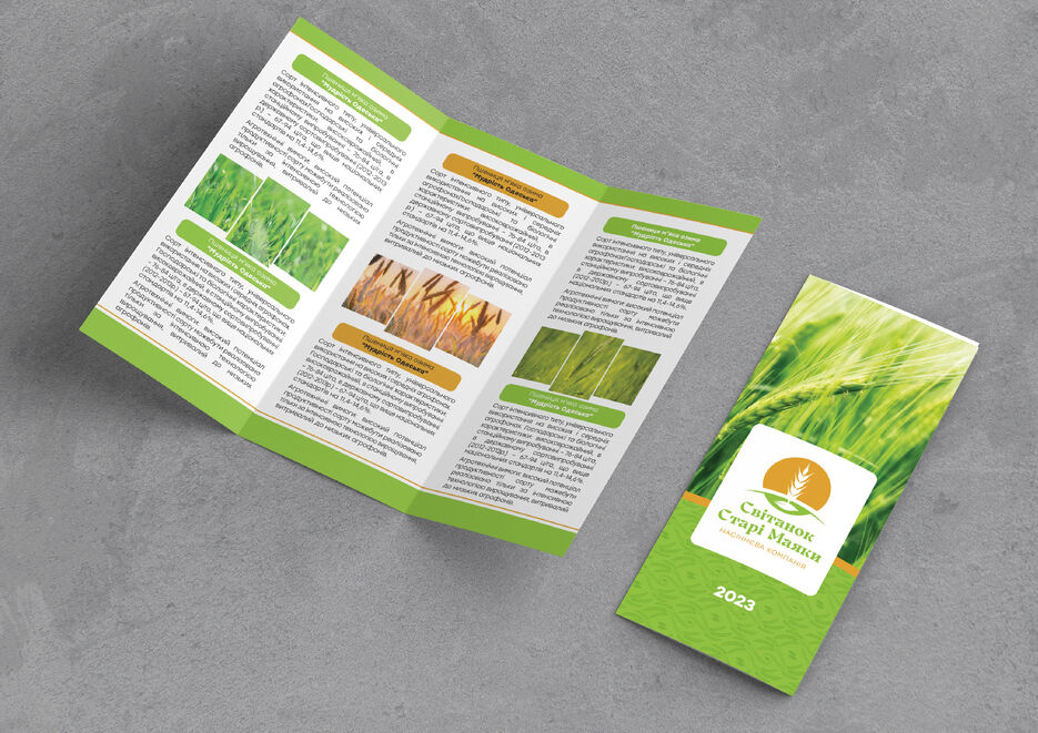 brandbook_Світанок Старі Маяки-09.jpg
