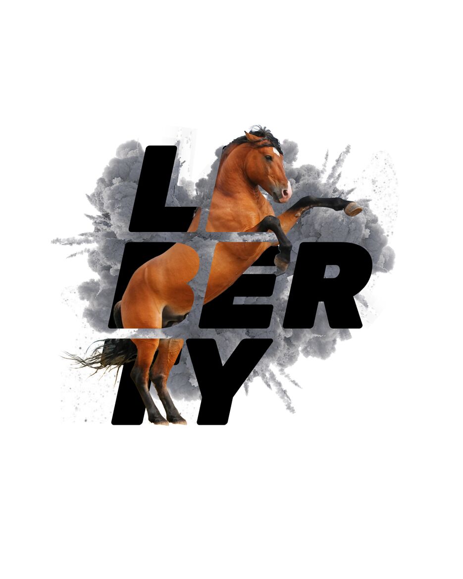 liberty.png