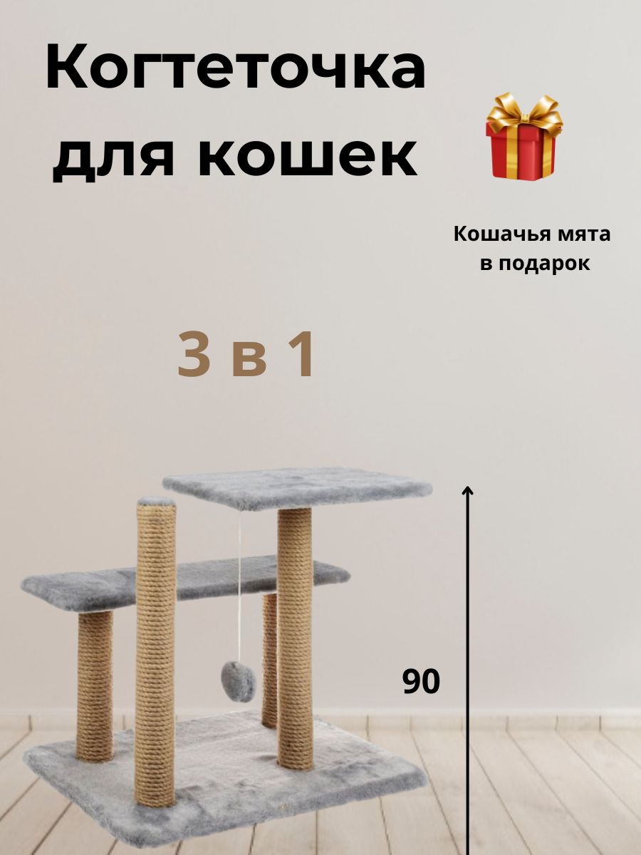 1718780902431.jpg