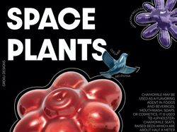 Постер SPACE PLANTS