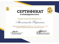 Сертификат о прохождении курсов по написанию коммерческих текстов