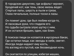 Брошенный кот 
