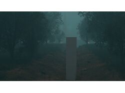 3D forest