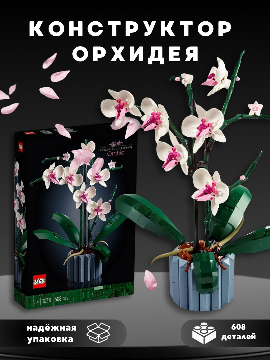 КОНСТРУКТОР ОРХИДЕЯ.png