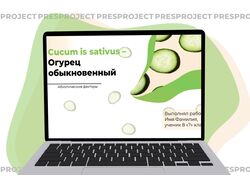 Референс 10 - Презентация